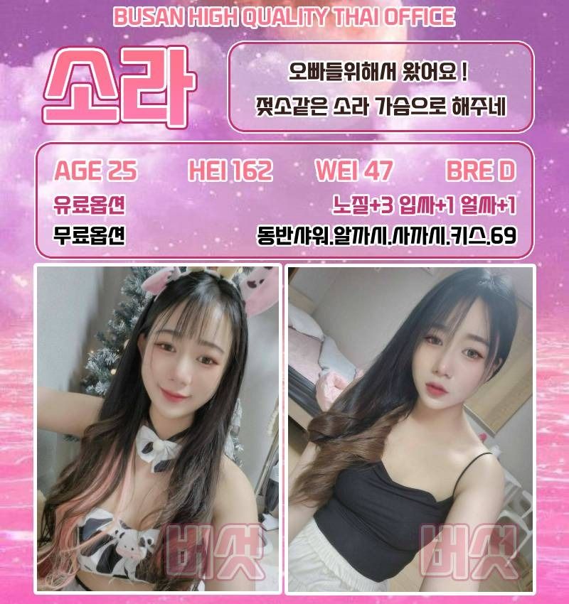 부산오피 경상도달리기 부산오피 버섯