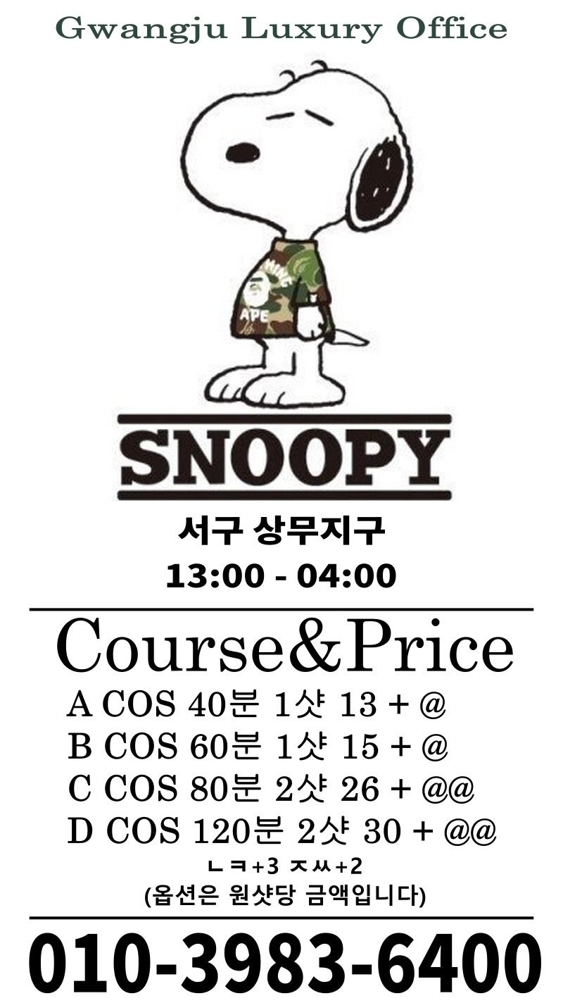 광주오피 인천유흥가 광주오피 스누피