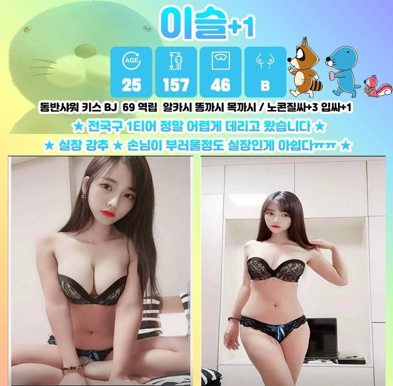마.창.진오피 경상도달리기 마.창.진오피 마산-보노보노