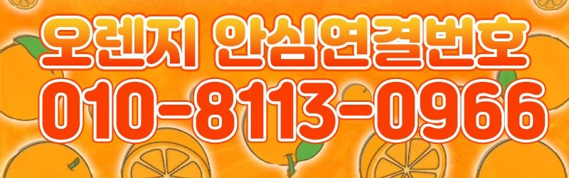 포항오피 경상도달리기 포항오피 오렌지