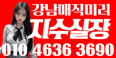 수지실장