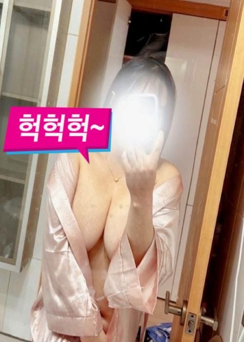 다미1.jpg